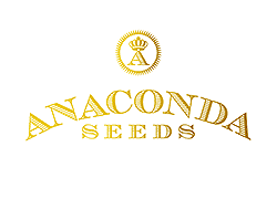 Compre Sementes de Cannabis Anaconda Seeds em Hipersemillas