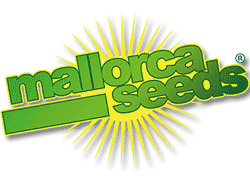 Compre Sementes de Cannabis Mallorca Seeds em Hipersemillas