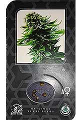 Jack Herer Auto 100% (5) order at Hipersemillas