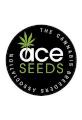 Zamaldelica - Ace Seeds