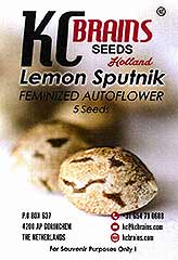 Comprar Lemon Sputnik Auto 100% en Hipersemillas