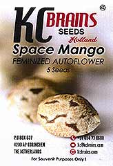 Space Mango Auto 100% order at Hipersemillas