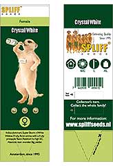 Comprar Crystal White 100% (3) en Hipersemillas