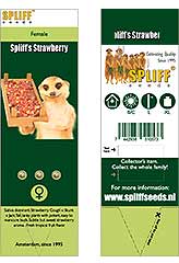 Comprar Spliff's Strawberry 100% (3) en Hipersemillas