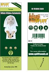 Comprar White Widow Auto 100% (3) en Hipersemillas