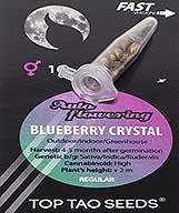 Compre Blueberry Crystal (10) em Hipersemillas