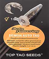 Compre Demon Auto Tao (10) em Hipersemillas