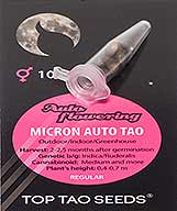 Acheter Micron Auto Tao (10) à Hipersemillas