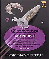 Tao Purple (10) order at Hipersemillas