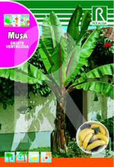 Musa (Bananas) order at Hipersemillas