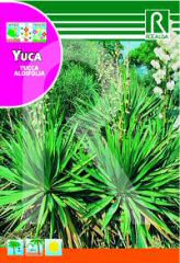 Acheter Yucca à Hipersemillas