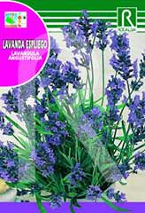 Compre Lavanda Alfazema em Hipersemillas