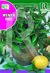 Compre Menta (Hortelã) (Mentha piperita) em Hipersemillas