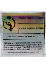 Compre Purple Walker Kush F1 em Hipersemillas