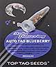 Auto Tao Blueberry (5)