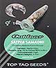 Sativa Samadhi (10)