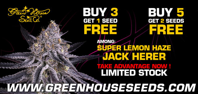 Promotion Greenhouse