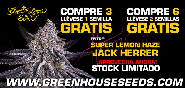 Promotion Greenhouse