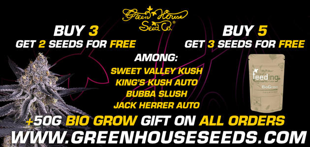 Promotion Greenhouse