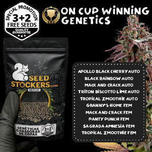 Promotion Seed Stockers 3+2