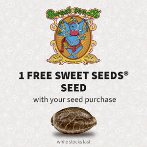 Promotion Sweet Seeds