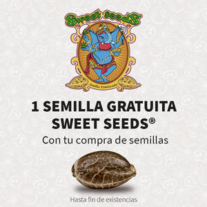 Promotion Sweet Seeds